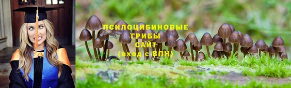 прущий лед Арсеньев