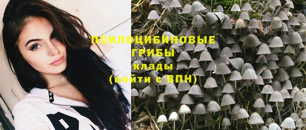прущий лед Арсеньев